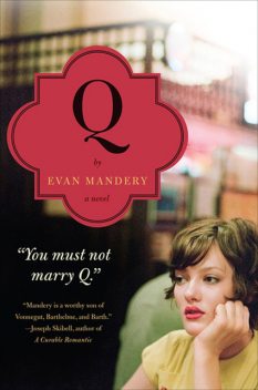 Q: A Novel, Evan Mandery