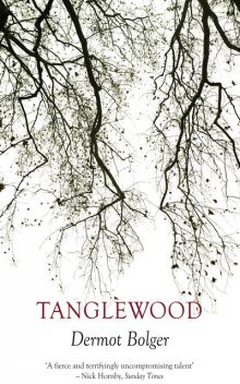 Tanglewood, Dermot Bolger