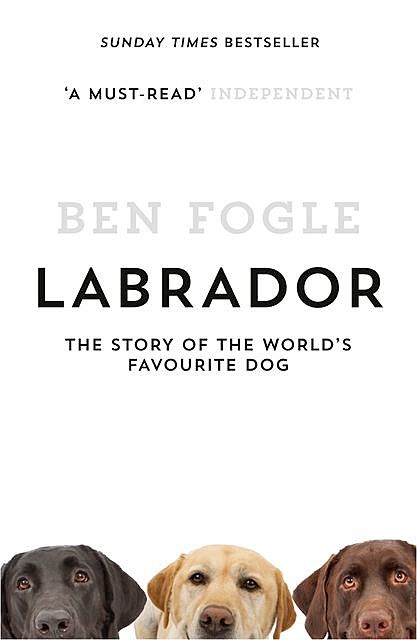 Labrador, Ben Fogle