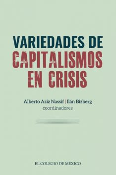Variedades del capitalismo, Ilán Bizberg, Alberto Aziz Nassif
