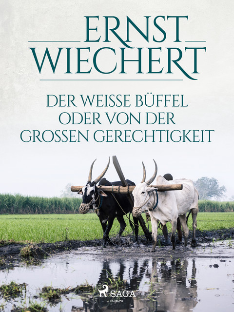 Der weiße Büffel, oder Von der großen Gerechtigkeit, Ernst Wiechert