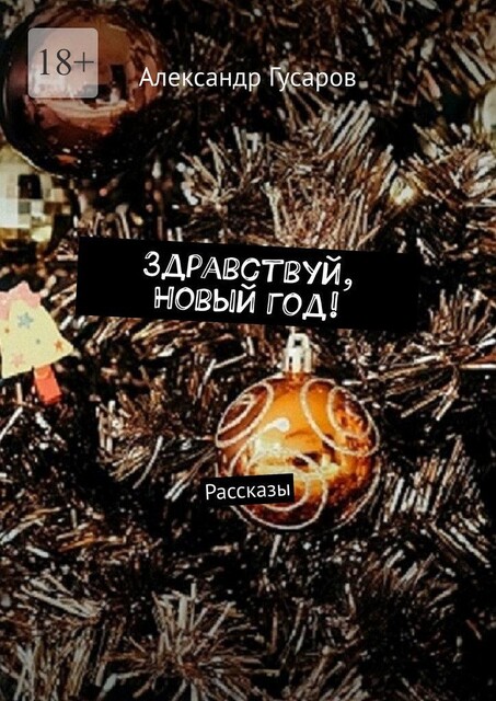Здравствуй, Новый год!, Александр Гусаров