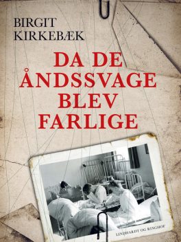 Da de åndssvage blev farlige, Birgit Kirkebæk