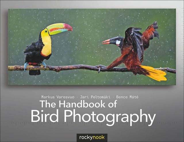 The Handbook of Bird Photography, Bence Mate, Jari Peltomaki, Markus Varesvuo