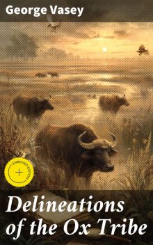Delineations of the Ox Tribe, George Vasey