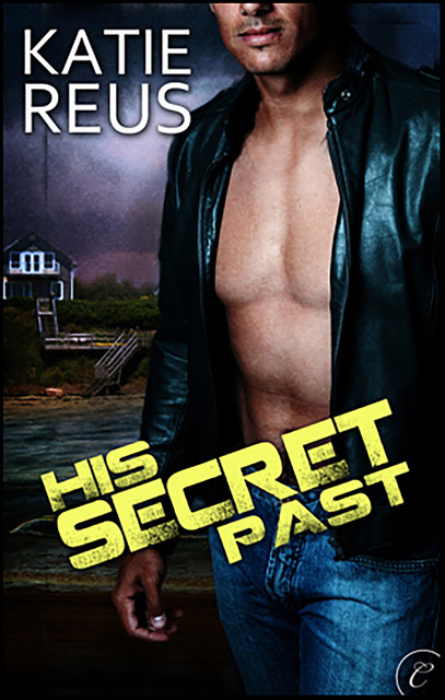 His Secret Past, Katie Reus