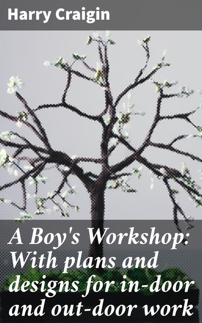 A Boy's Workshop: With plans and designs for in-door and out-door work, Harry Craigin