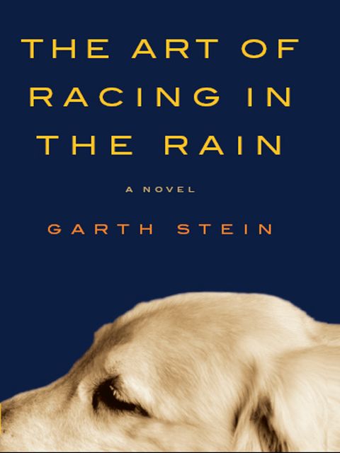 The Art of Racing in the Rain Excerpt, Garth Stein