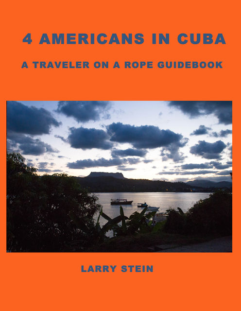 4 Americans in Cuba, Larry Stein