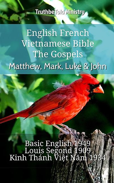 English French Vietnamese Bible – The Gospels – Matthew, Mark, Luke & John, TruthBeTold Ministry