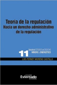 Teoría de la regulación, Luis Ferney Moreno Castillo