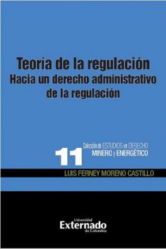 Teoría de la regulación, Luis Ferney Moreno Castillo