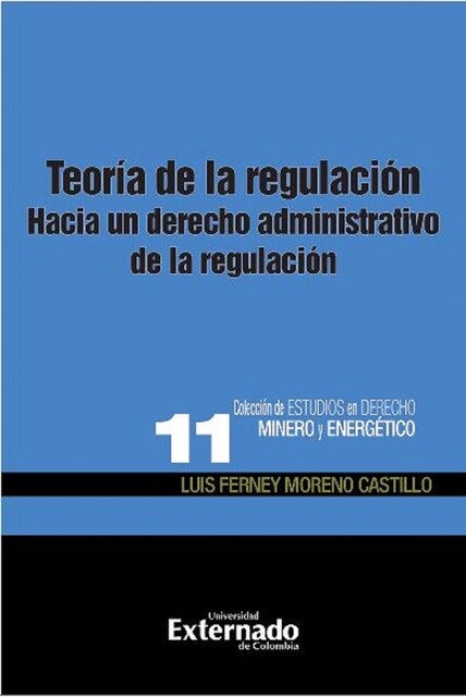 Teoría de la regulación, Luis Ferney Moreno Castillo