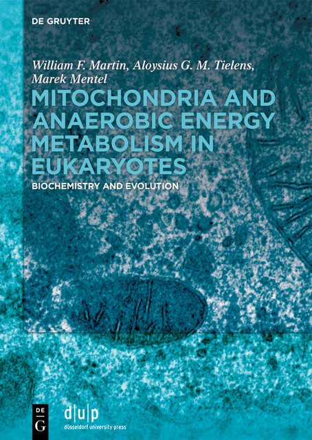 Mitochondria and Anaerobic Energy Metabolism in Eukaryotes, William Martin, Aloysius G.M. Tielens, Marek Mentel