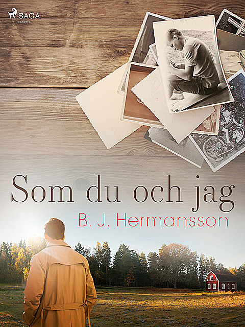 Som du och jag, B.J. Hermansson