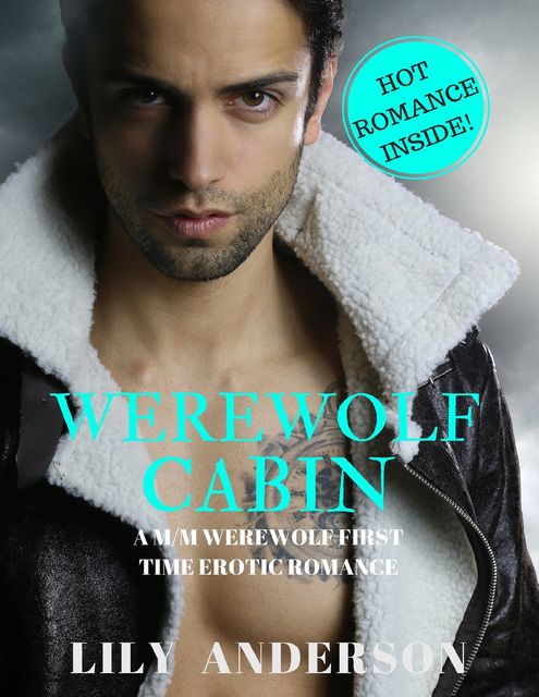 Werewolf Cabin: A Male On Male Paranormal Werewolf Romance, Lily Anderson