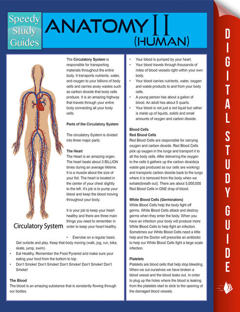 Anatomy II (Human) (Speedy Study Guides), Speedy Publishing