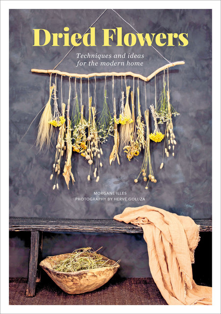 Dried Flowers, Morgane Illes