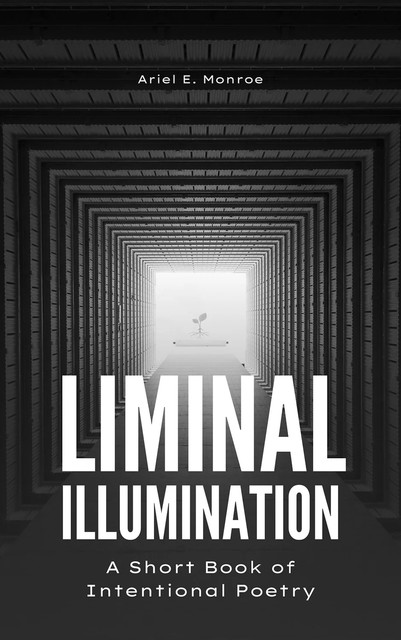 Liminal Illumination, Ariel E Monroe