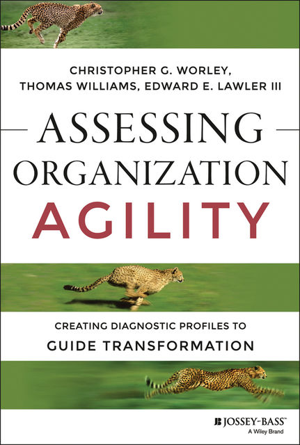 Assessing Organization Agility, Thomas Williams, Lawler Edward, III, Christopher G.Worley