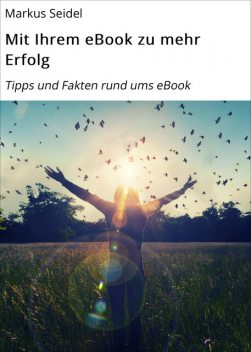 Mit Ihrem eBook zu mehr Erfolg, Markus Seidel