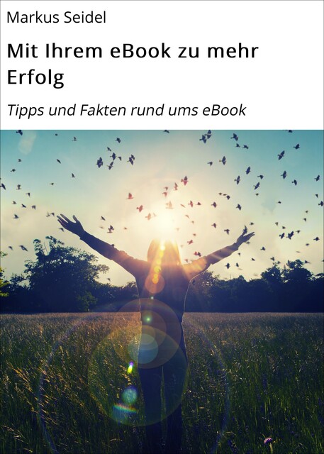 Mit Ihrem eBook zu mehr Erfolg, Markus Seidel