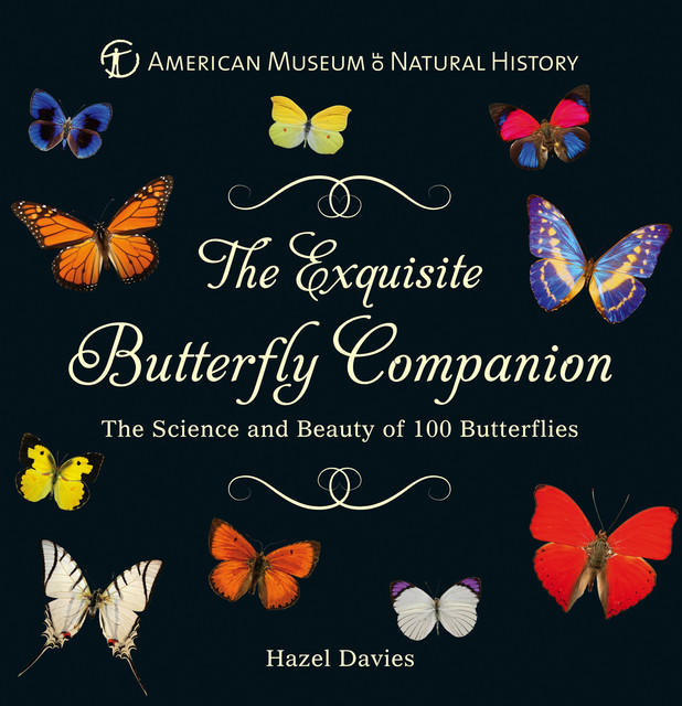 The Exquisite Butterfly Companion, American Museum of Natural History, Hazel Davies