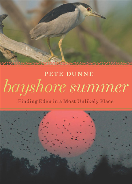 Bayshore Summer, Pete Dunne