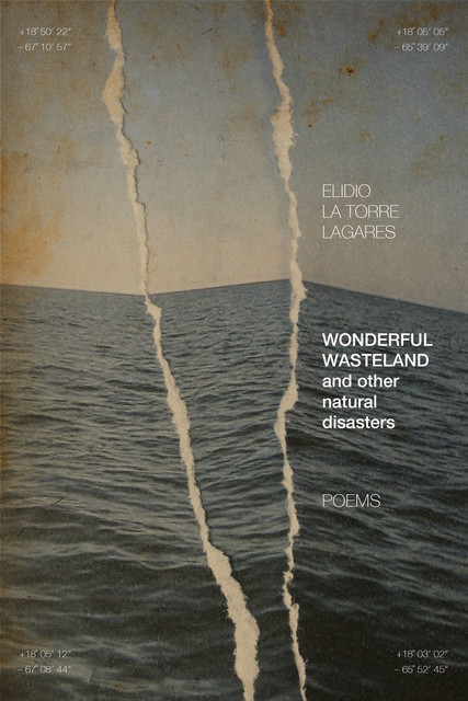 Wonderful Wasteland and other natural disasters, Elidio La Torre Lagares