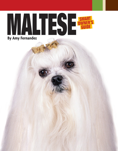 Maltese, Dog Fancy Magazine