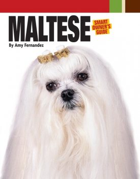 Maltese, Dog Fancy Magazine