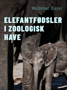 Elefantfødsler i Zoologisk Have, Waldemar Dreyer