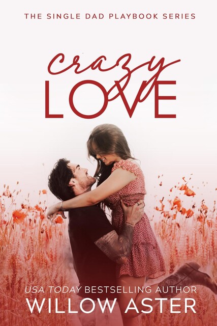 Crazy Love : A Small Town, Single Dad, Sports Romance (The Single Dad Playbook Book 5), Willow Aster