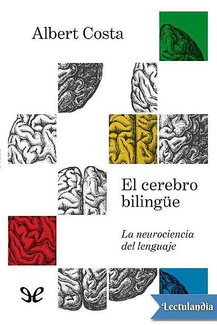 El cerebro bilingüe, Albert Costa