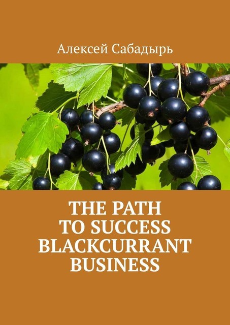 The path to success blackcurrant business, Алексей Сабадырь