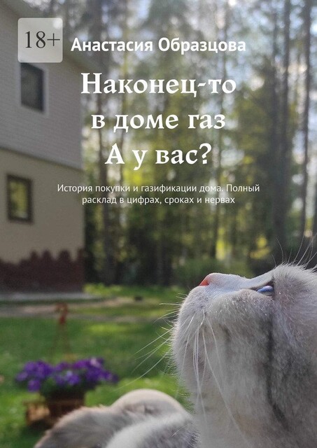 Наконец-то в доме газ. А у вас?. История покупки и газификации дома. Полный расклад в цифрах, сроках и нервах, Анастасия Образцова