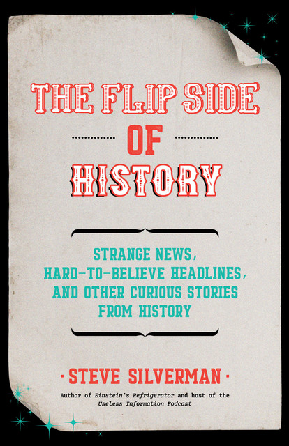 The Flip Side of History, Steve Silverman