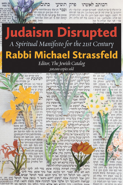 Judaism Disrupted, Michael Strassfeld
