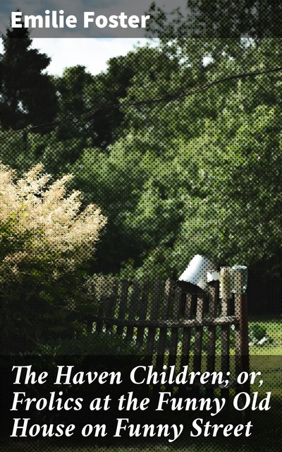 The Haven Children; or, Frolics at the Funny Old House on Funny Street, Emilie Foster