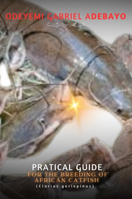 Practical guide for the breeding of African catfish, Gabriel Adebayo Odeyemi