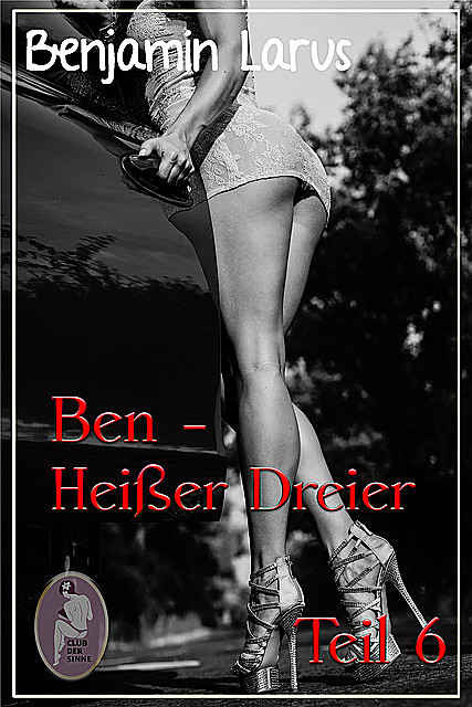 Ben – Heißer Dreier, Teil 6 (Erotik, Menage a trois, bi, gay), Benjamin Larus