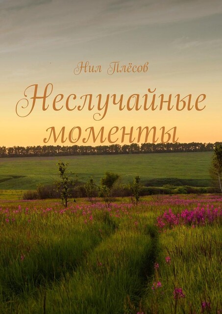 Неслучайные моменты, Нил Плёсов