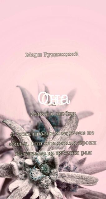 Она, Алексей Рудницкий