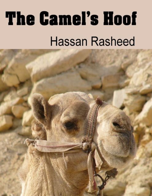 The Camel's Hoof, Hassan Rasheed