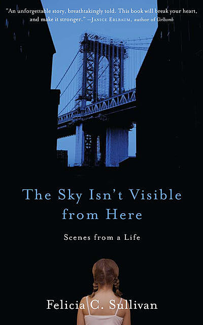 The Sky Isn't Visible from Here, Felicia C. Sullivan
