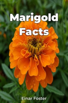 Marigold Facts, Einar Foster