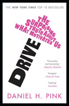 Drive: The Surprising Truth About What Motivates Us, Daniel Pink