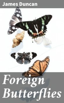 Foreign Butterflies, James Duncan