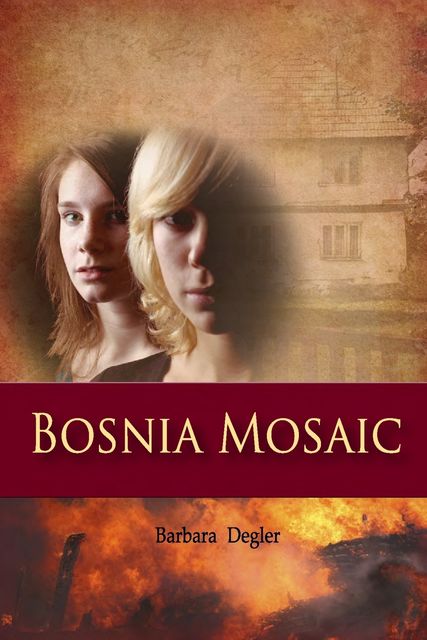 Bosnia Mosaic, Barbara Degler