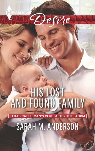 His Lost and Found Family, Sarah Anderson